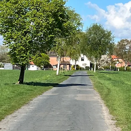 Naturpark Suedheide Im Retro-style Appartement Bergen (Lower-Saxony)