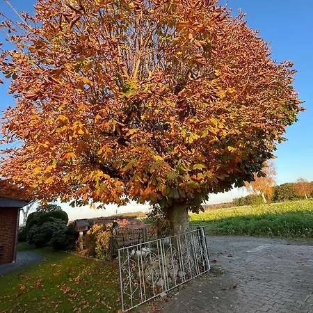 Naturpark Suedheide Im Retro-style