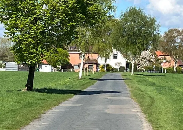 Naturpark Südheide Im Retro-style Apartamento Bergen (Lower-Saxony)