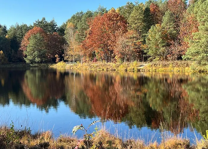 Naturpark Südheide Im Retro-style *